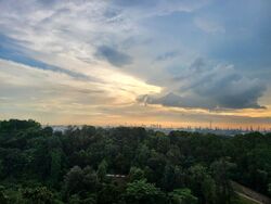 Normanton Park (D5), Apartment #497824351